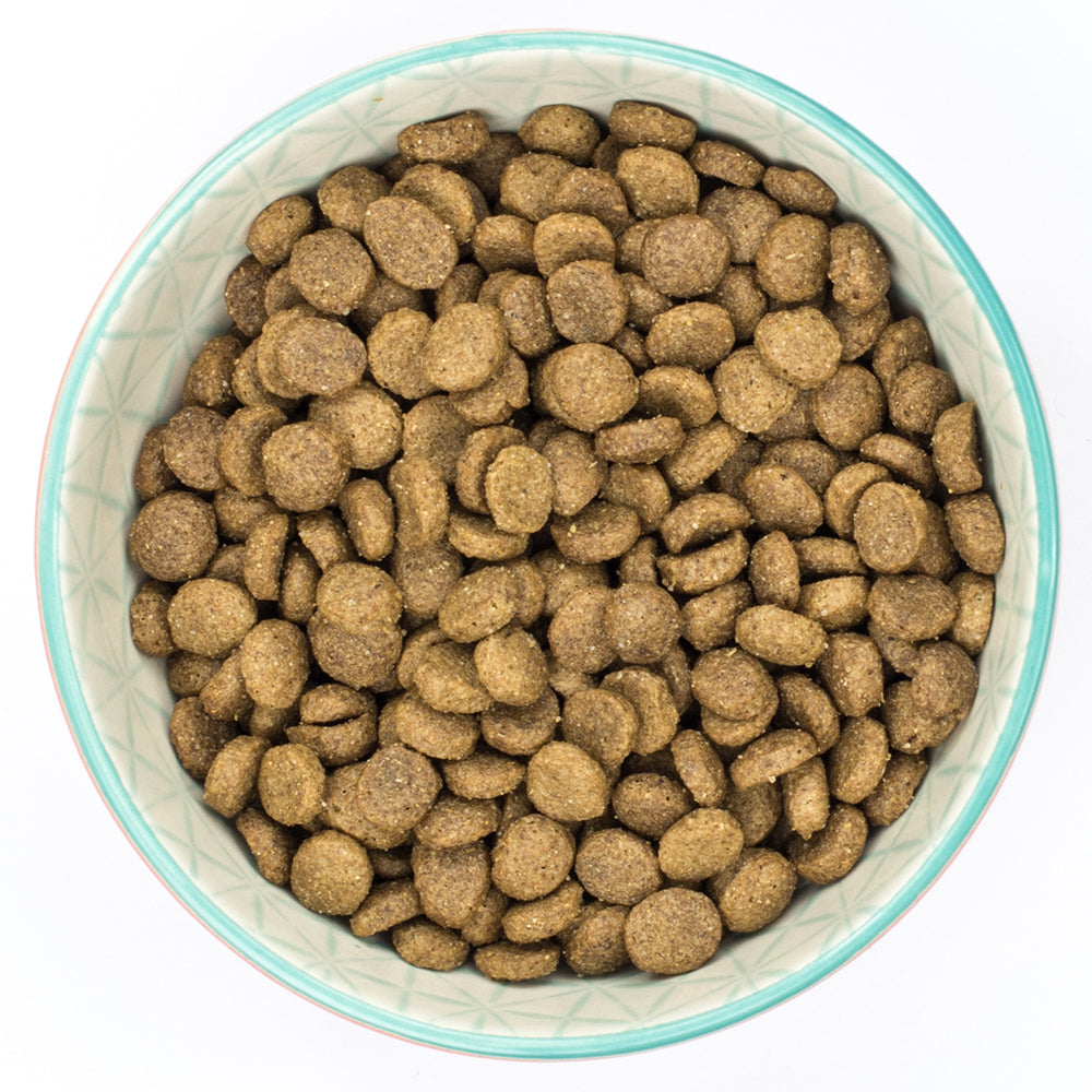 Burns Adult Dog Food Grain Free Toy & Small Breed Duck & Potato 2Kg