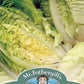 Mr Fothergill's Salad Seeds Lettuce Little Gem - 1,250 Seeds