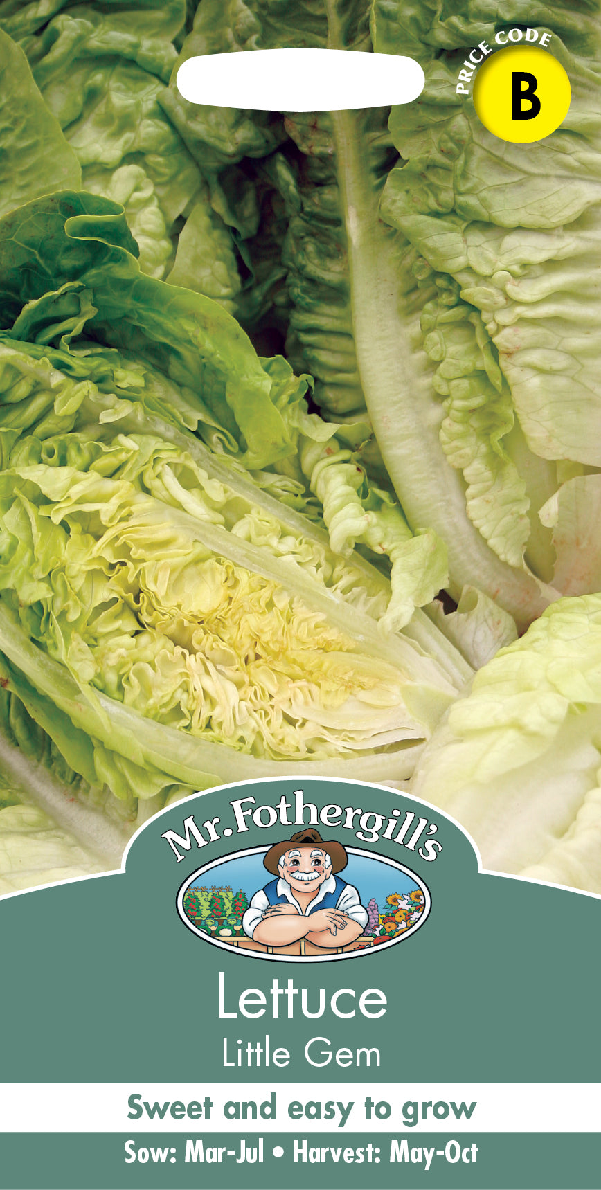 Mr Fothergill's Salad Seeds Lettuce Little Gem - 1,250 Seeds