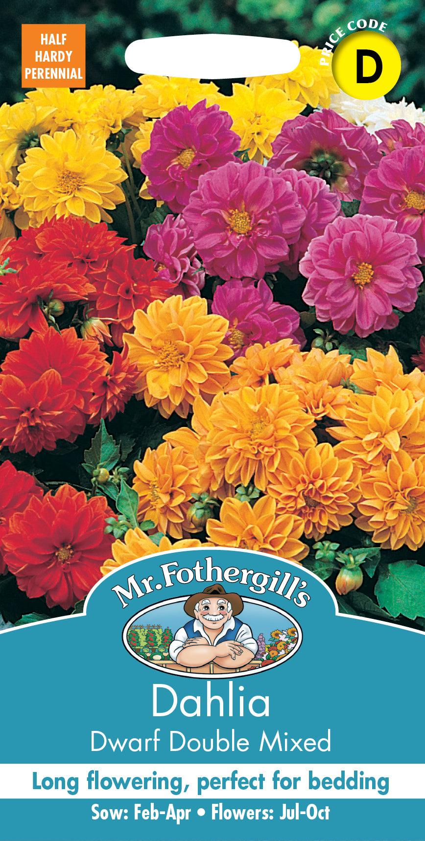 Mr Fothergill's Flower Seeds Dahlia Dwarf Double Mixed - 50 Seeds