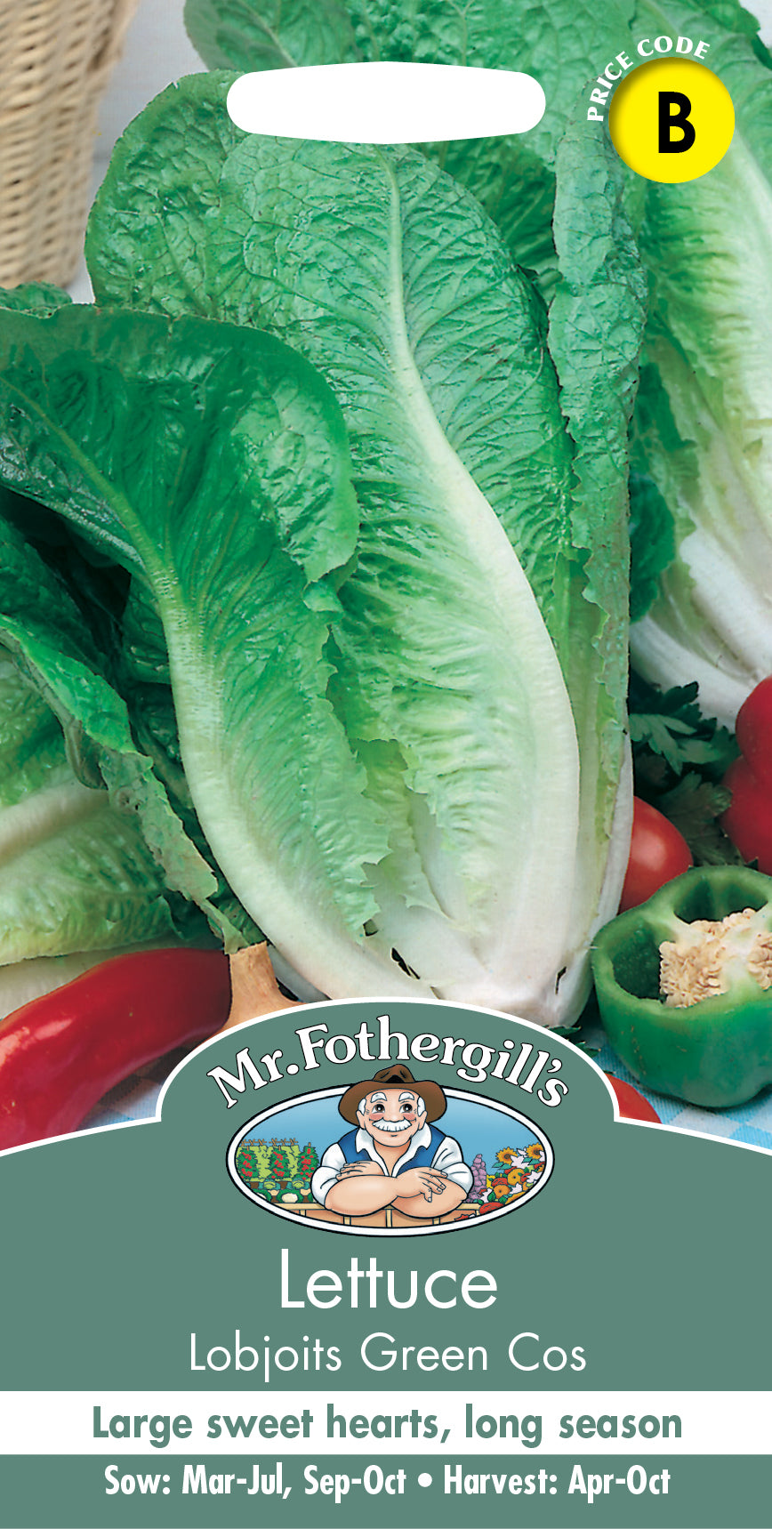 Mr Fothergill's Salad Seeds Lettuce Lobjoits Green Cos - 1,250 Seeds