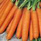 Mr Fothergill's Vegetable Seeds Carrot Nantes 5 - 2,000 Seeds