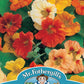 Mr Fothergill's Flower Seeds Nasturtium Jewel Mixed - 35 Seeds