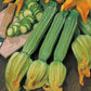 Mr Fothergill's Vegetable Seeds Courgette Romanesco - 25 Seeds