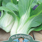 Mr Fothergill's Salad Seeds Pak Choi Yuushou F1 - 175 Seeds