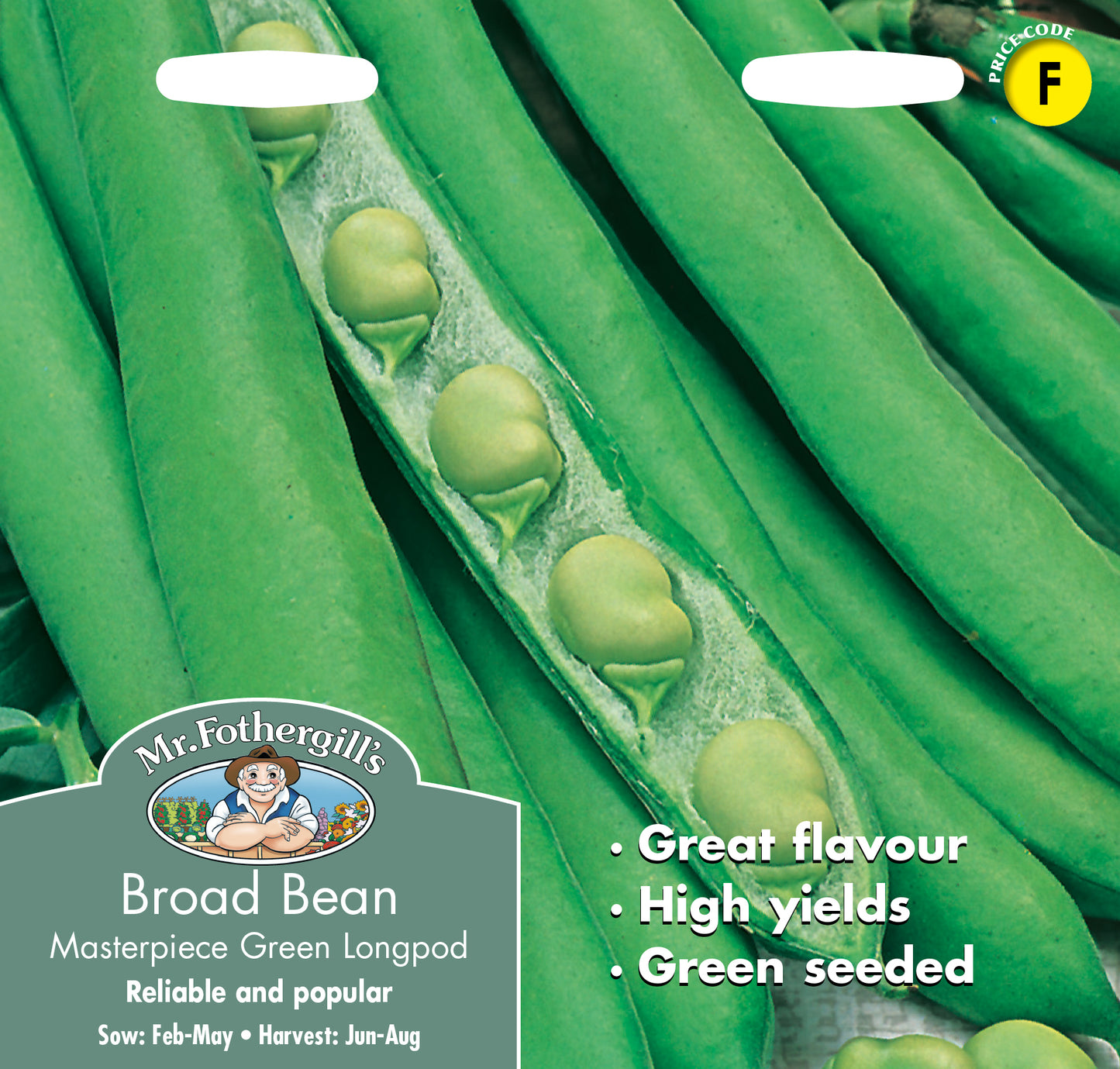 Mr Fothergill's Vegetable Seeds Broad Bean Masterpiece Green Long - 45 Seeds