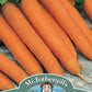 Mr Fothergill's Vegetable Seeds Carrot Romance F1 - 500 Seeds