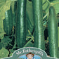 Mr Fothergill's Salad Seeds Cucumber Telepathy F1 - 10 Seeds