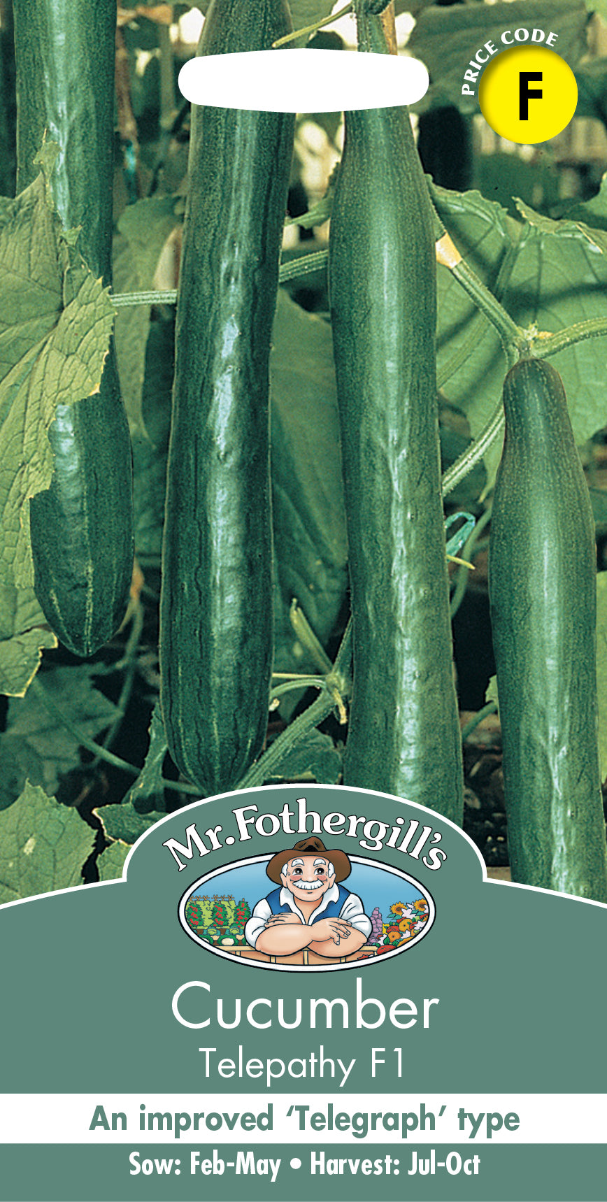 Mr Fothergill's Salad Seeds Cucumber Telepathy F1 - 10 Seeds