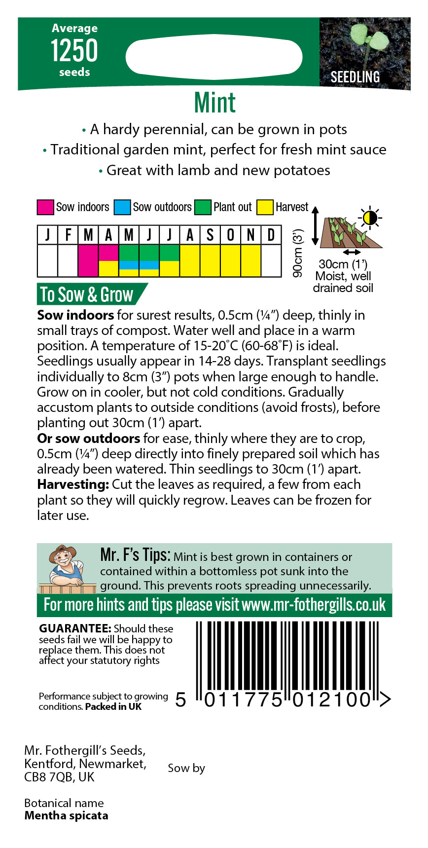 Mr Fothergill's Herb Seeds Mint  - 1,250 Seeds