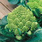 Mr Fothergill's Vegetable Seeds Cauliflower (Broccoli) Romanesco Natalino - 250 Seeds