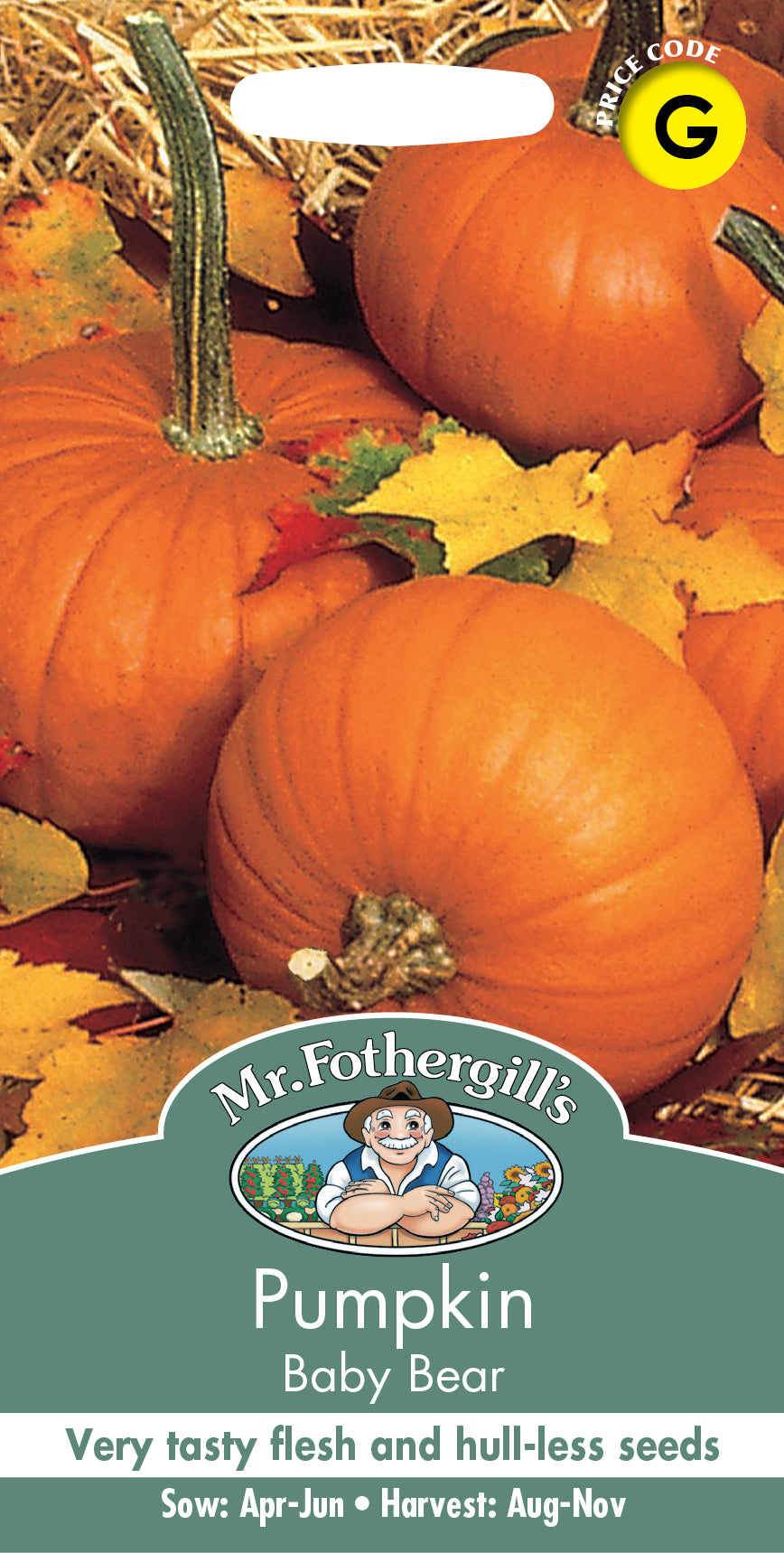 Mr Fothergill's Vegetable Seeds Pumpkin Baby Bear - 10 Seeds