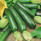 Mr Fothergill's Vegetable Seeds Courgette Firenze F1 - 10 Seeds