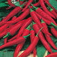 Mr Fothergill's Vegetable Seeds Pepper Hot De Cayenne - 60 Seeds