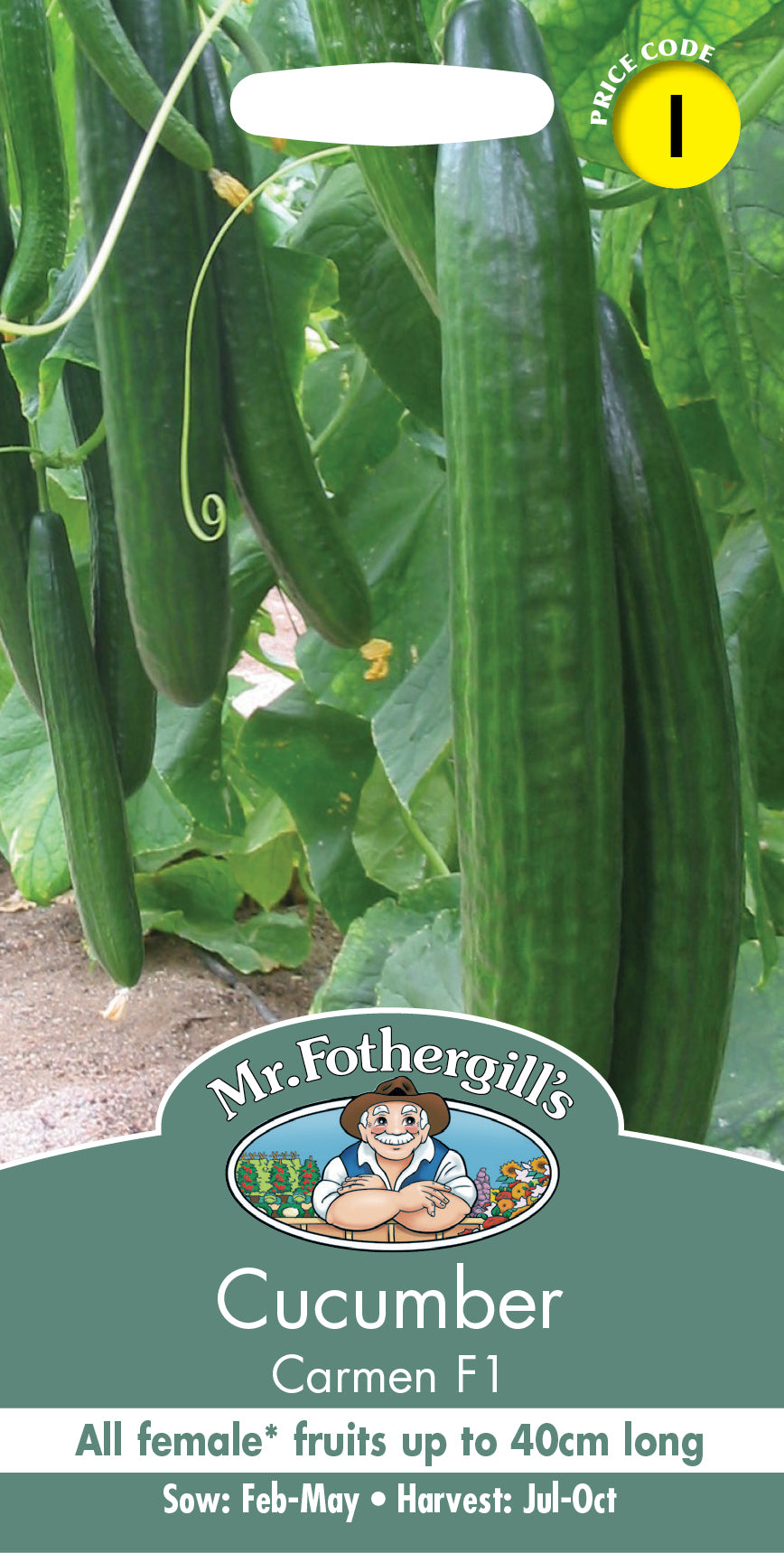 Mr Fothergill's Salad Seed Cucumber Carmen F1 - 5 Seeds