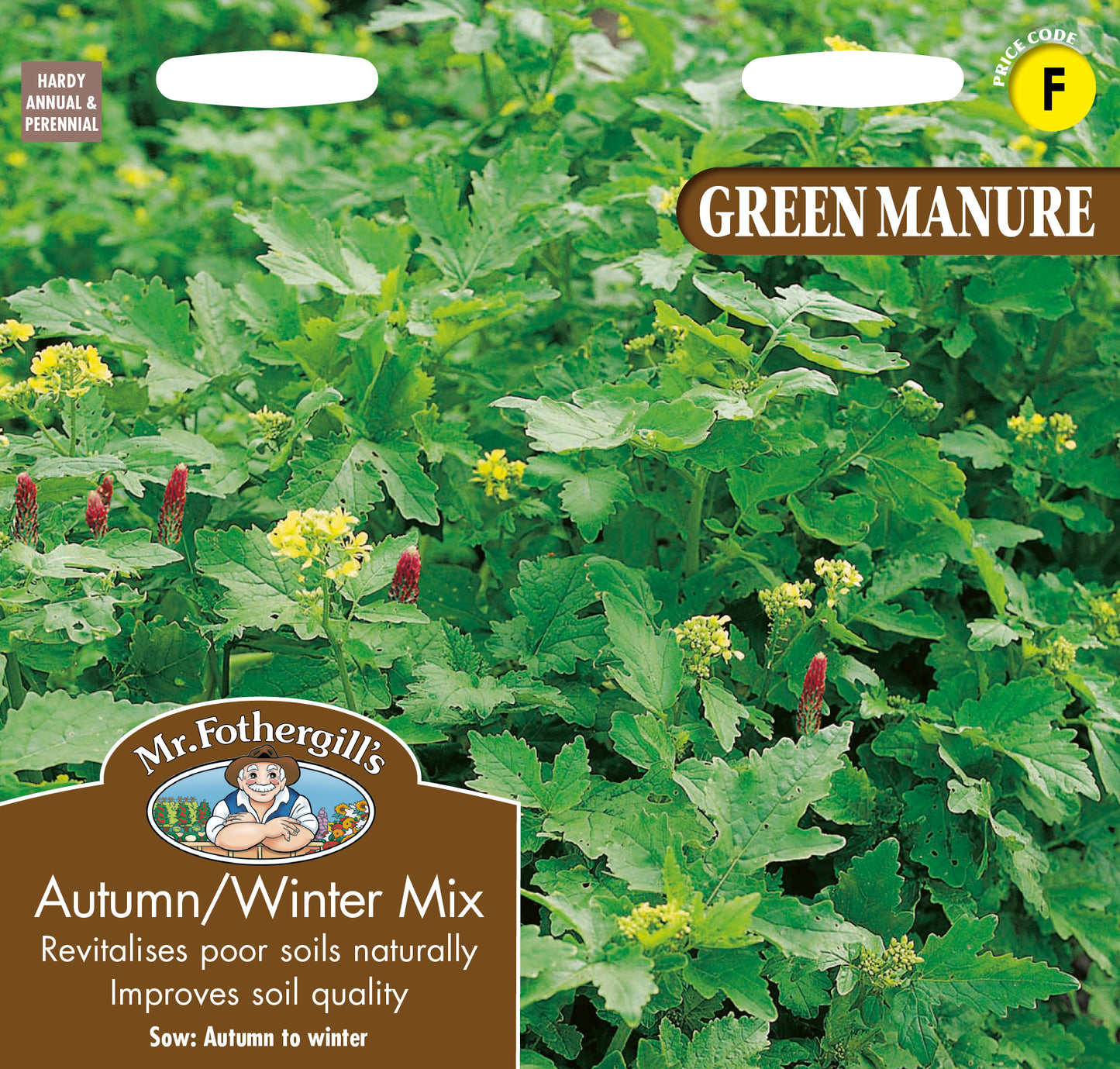 Mr Fothergill's Vegetable Seeds Green Manure Autumn/Winter Mix - 100g Covers 20sq.m