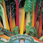 Mr Fothergill's Vegetable Seeds  Chard Bright Lights - 150 Seeds