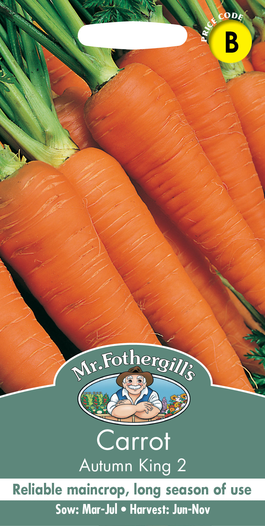 Mr Fothergill's Vegetable Seeds Carrot Autumn King 2 - 2,000 Seeds