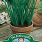 Mr Fothergill's Herb Seeds Chive