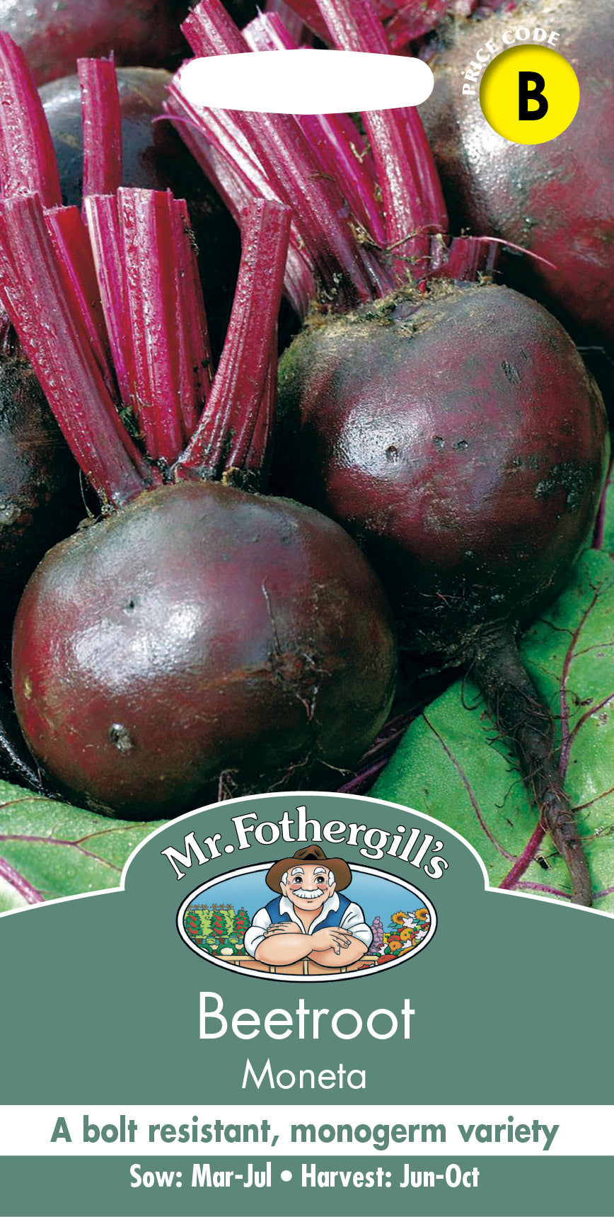 Mr Fothergill's Vegetable Seeds Beetroot Moneta - 150 Seeds