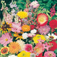 Mr Fothergill's Flower Seeds Mixed Annuals Quick & Easy - 200 Seeds