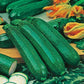 Mr Fothergill's Vegetable Seeds Courgette All Green Bush - 20 Seeds