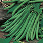 Mr Fothergill's Vegetable Seeds Dwarf French Bean Ferrari - 100 Seeds