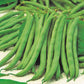 Mr Fothergill's Vegetable Seeds Dwarf French Bean Tendergreen  - 125 Seeds