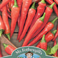 Mr Fothergill's Vegetable Seeds Pepper Hot De Cayenne - 60 Seeds