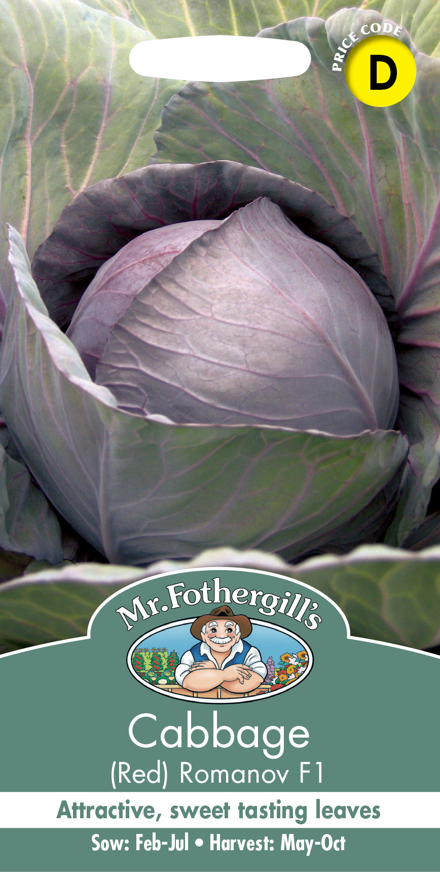 Mr Fothergill's Vegetable Seeds Cabbage Red Romanov F1 - 30 Seeds