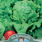 Mr Fothergill's Salad Seeds Lettuce Webbs Wonderful - 1,250 Seeds