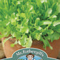 Mr Fothergill's Salad Seeds Mixed Lettuce Green Leaves - 1000 Seeds