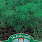 Mr Fothergill's Herb Seeds Dill - 750 Seeds