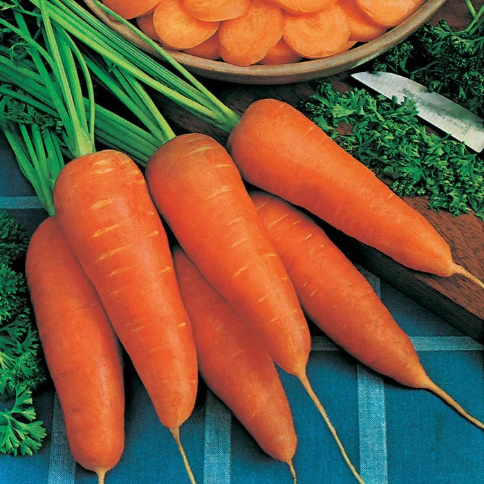 Mr Fothergill's Vegetable Seeds Carrot Chantenay Red Cored 2 - 2,000 Seeds