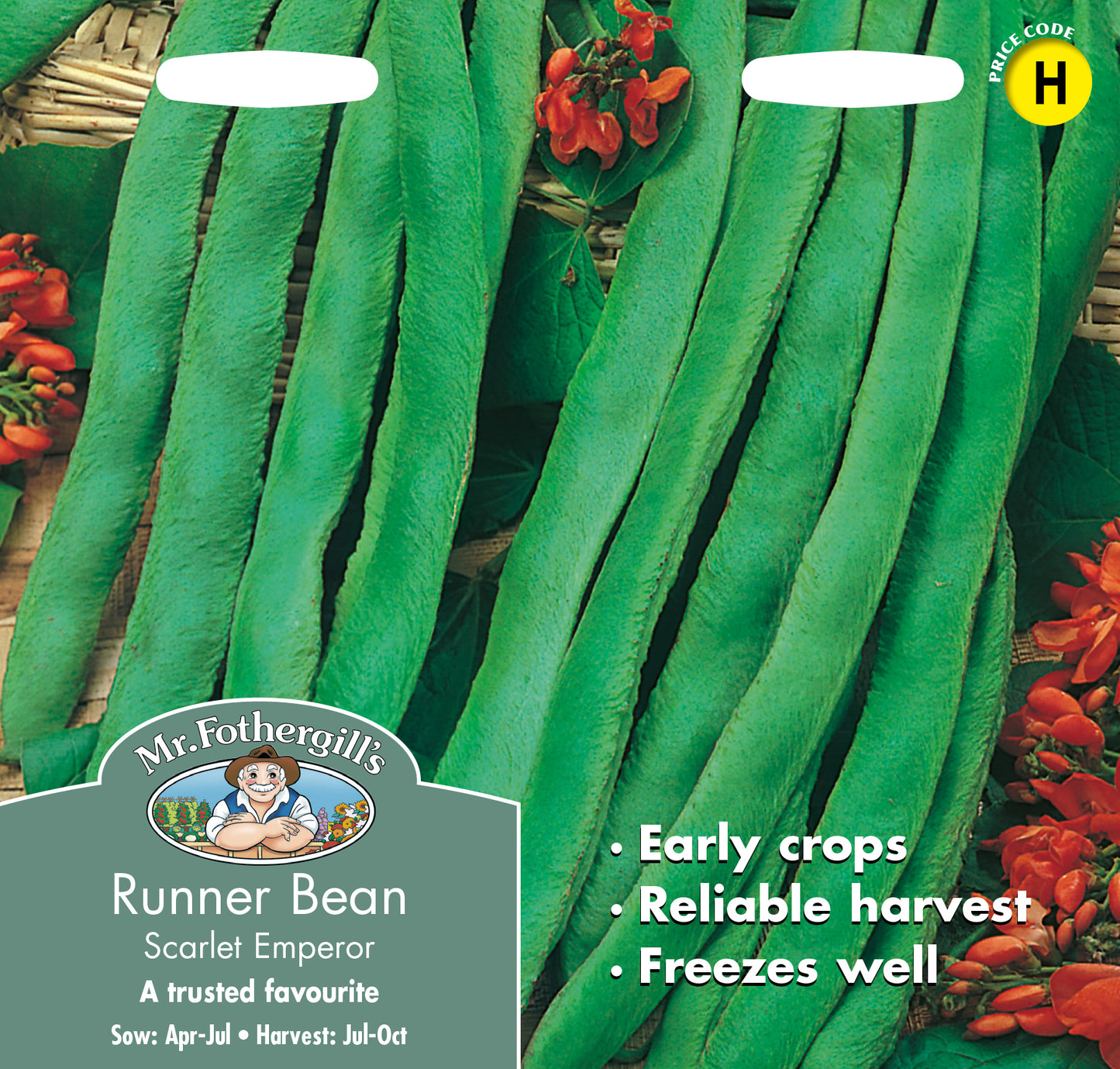 Mr Fothergill's RUNNER BEAN Scarlet Emperor