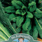 Mr Fothergill's Vegetable Seeds Kale Nero Di Toscana - 400 Seeds