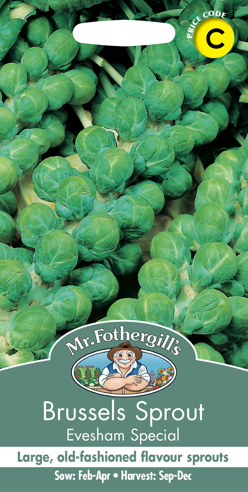 Mr Fothergill's Vegetable Seeds Brussels Sprout Evesham Special - 500 Seeds