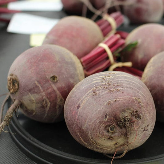 Mr Fothergill's Vegetable Seeds Beetroot Pablo F1 - 150 Seeds