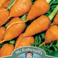 Mr Fothergill's Vegetable Seeds Carrot Royal Chantenay 3 - 1,000 Seeds