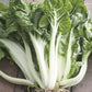 Mr Fothergill's Vegetable Seeds Chard White Silver 2 - 350 Seeds