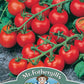 Mr Fothergill's TOMATO Red Cherry