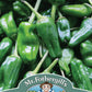 Mr Fothergill's Vegetable Seeds Pepper (Hot) Padron - 20 Seeds