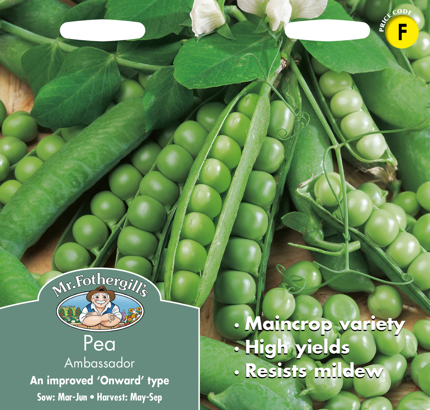 Mr Fothergill's Vegetable Seed Pea Ambassador - 325 Seeds