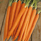 Mr Fothergill's Vegetable Seeds Carrot Sugarsnax 54 F1 - 500 Seeds