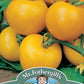 Mr Fothergill's TOMATO Golden Sunrise