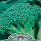 Mr Fothergill's Vegetable Seeds Broccoli Autumn Green  - 250 Seeds