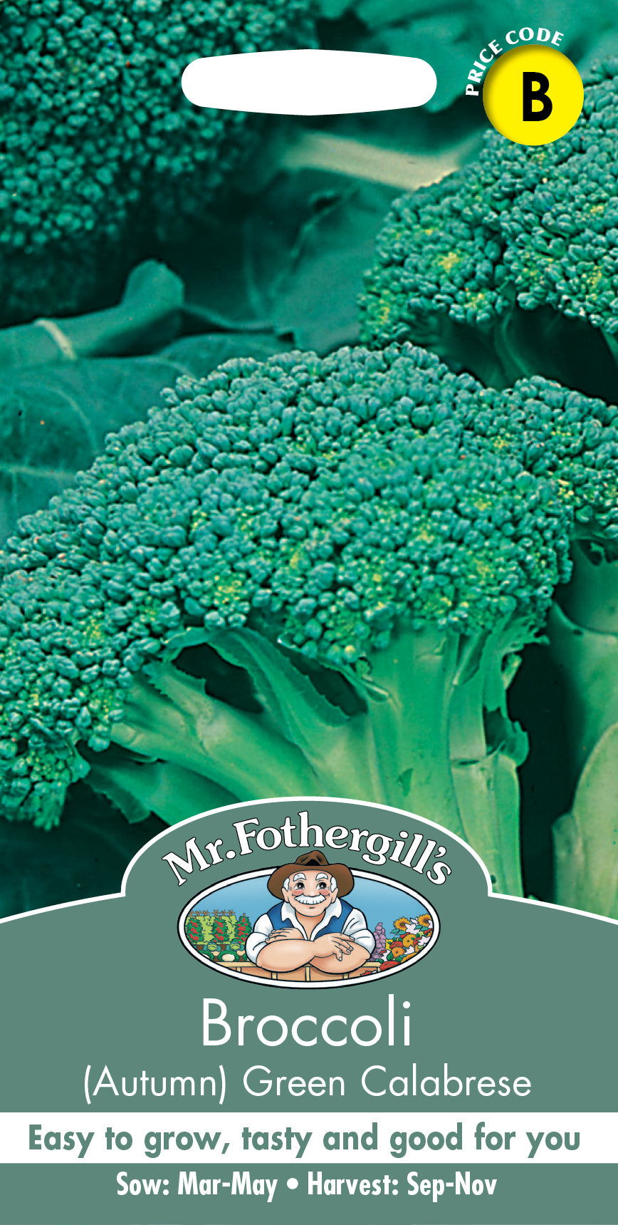 Mr Fothergill's Vegetable Seeds Broccoli Autumn Green  - 250 Seeds