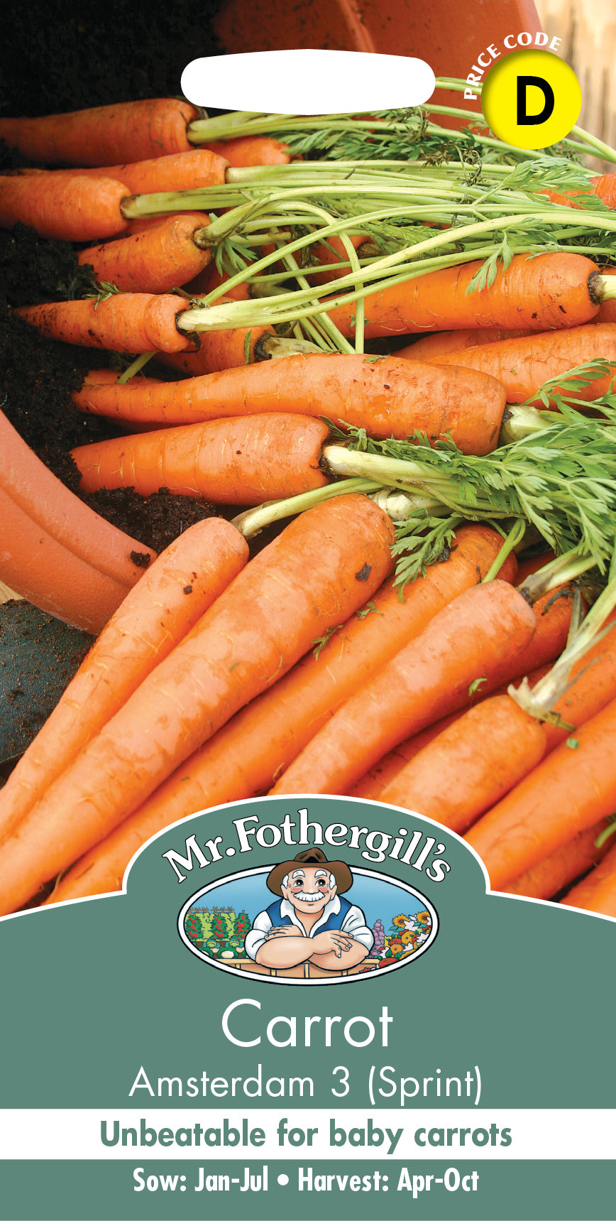 Mr Fothergill's Vegetable Seeds Carrot Amsterdam 3 Sprint - 1,500 Seeds