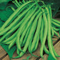 Mr Fothergill's Vegetable Seeds Climbing French Bean Blue Lake - 100 Seeds