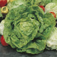 Mr Fothergill's Salad Seeds Lettuce All The Year Round - 1,250 Seeds